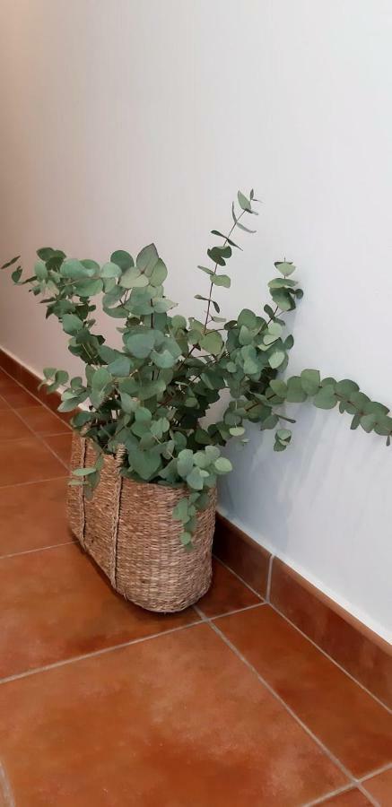 Hostal Sa Posada Set Cales Ciutadella  Εξωτερικό φωτογραφία